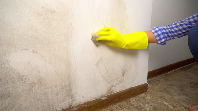 Best Environmental Consulting for Mold Prevention  in Superior, WI